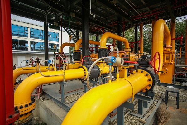 PK4A4287.jpg PK4A4287.jpg